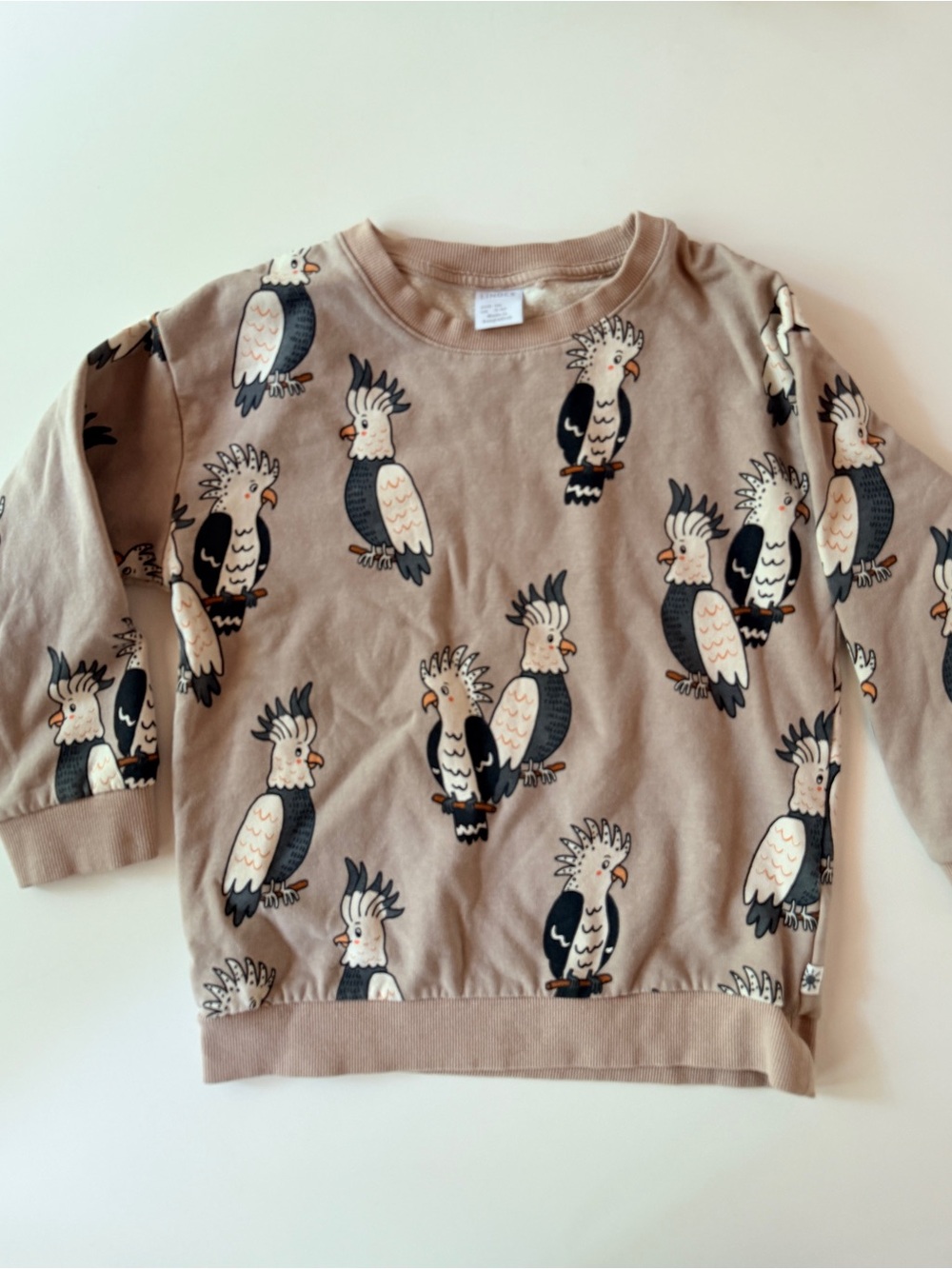 Kids' Cockatoo Print Pullover Sweatshirt - Taupe